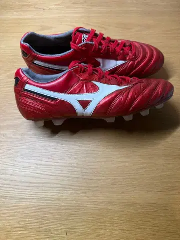 모렐리아 40주년