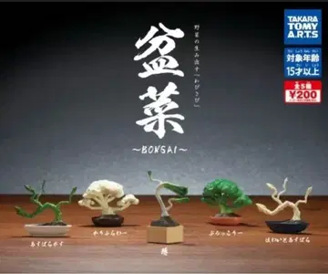 타카라토미아츠 분재 5개 세트 풀 컴프