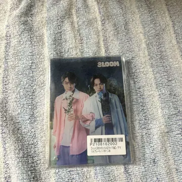 BLOOM 하치무라 린타로 츠나 케이토 아크릴 플레이트