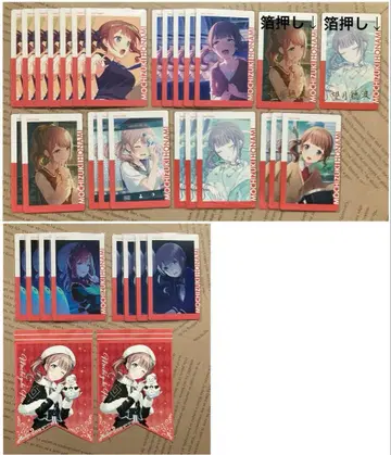 프로세카 모치즈키 호나미