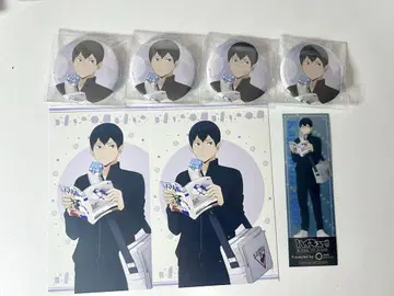 하이큐 사카노시타 카게야마 토비오 캔 배지 책갈피