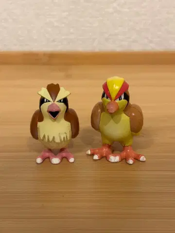 몬스터 컬렉션 팟팟토와 피죳토