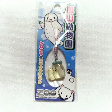 북극곰과 자라 스트랩 삿포로 동물원 지역 한정