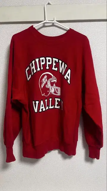 챔피온 리버스 위브 [ XL ]