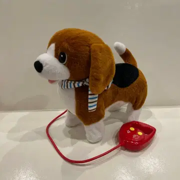 산책 강아지