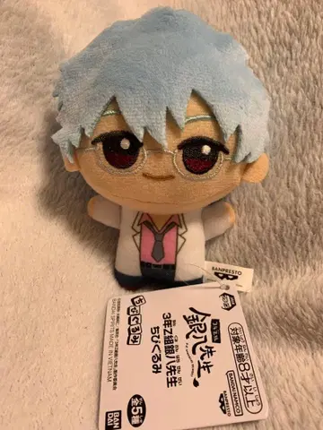 3학년 Z반 긴파치 선생님 SD 인형 사카타 긴파치 봉제 인형