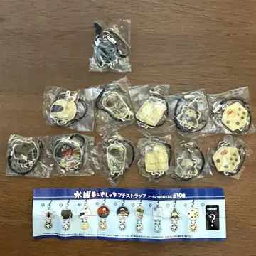 수요일 어떻게 될까요? 푸치 스트랩 12개