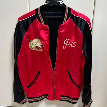 보야 하루미치 모델 스카잔