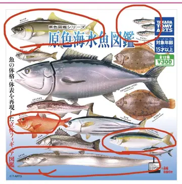 원색 해수어 도감 [2018 개정판] 6개 세트