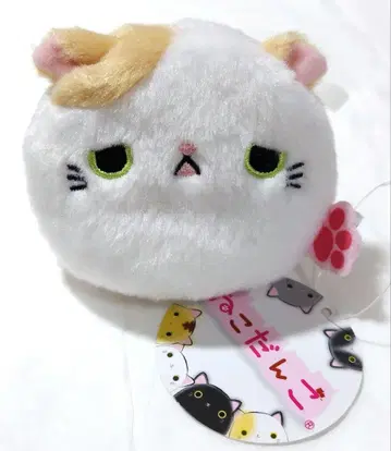 고양이 당고 쇼봉