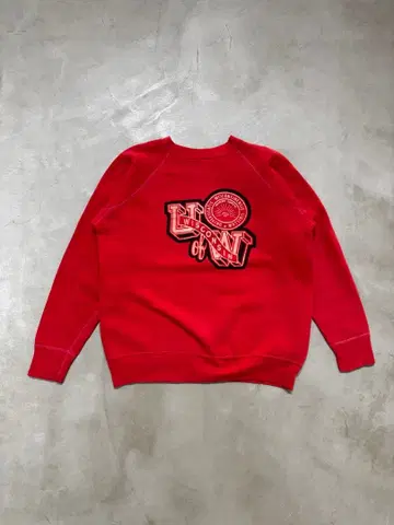 60s 빈티지 스웻 'WISCONSIN / 컬러 플로키