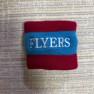 SKY-HI FLYERS 리스트 밴드