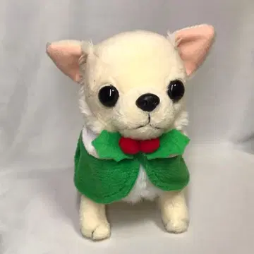 치와와 쿠우짱 봉제 인형