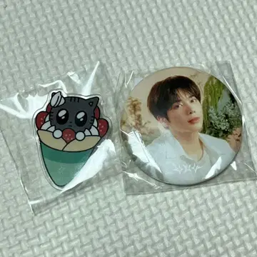 TXT 다고냥 Starkissed 태현 캔뱃지 지역 한정