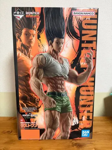 HUNTER x HUNTER 라스트 원상 곤 키메라 앤트 편 곤 씨