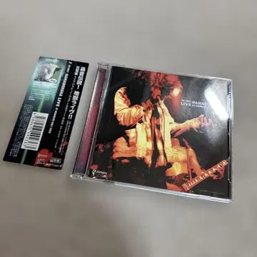 라이브 앳 노웨어 1987~1989