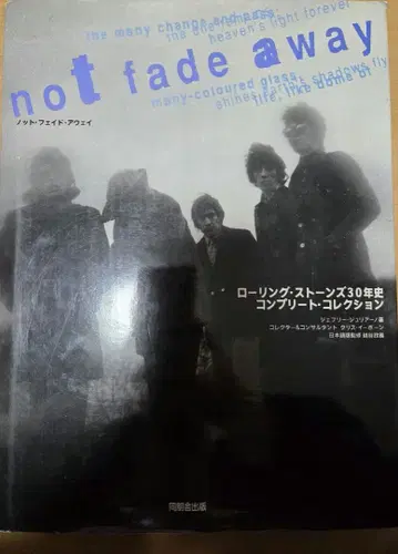 not fade away 롤링 스톤스 30년사