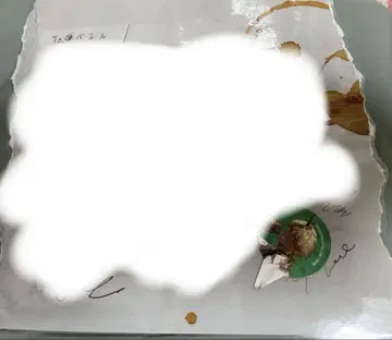 벨제바브 피크 편지