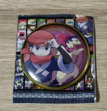 포켓몬 캔뱃지 컬렉션 테루