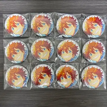 앙스타 아케호시 스바루 비즈로그 B's-LOG 비즈로그 캔뱃지