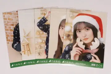 엔도 사쿠라 브로마이드 크리스마스 2022 5종 세트