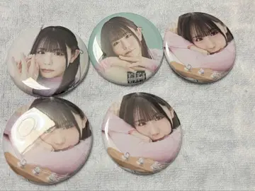 코히나타 미카 캔뱃지 10개