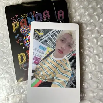 팬더드래곤 파라곤 하피카 폴라로이드 트레이딩 카드 요우타