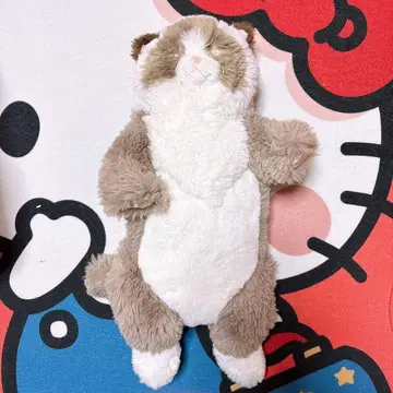 산레몬 무릎 고양이 봉제 인형