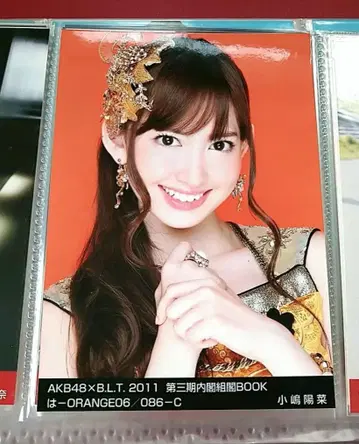 전 AKB48 코지마 요나 BLT 제3기 내각 조각 OOK 브로마이드