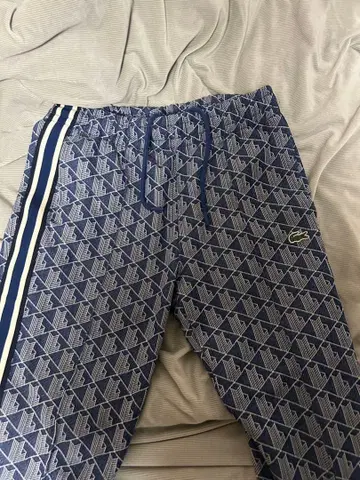 라코스테 저지 파랑