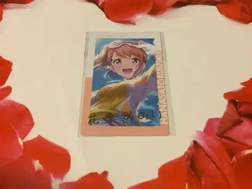 프로세카 에피카 금박 11B 미노리