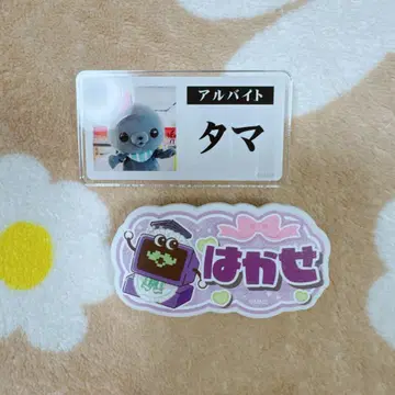 교육 방송 타마 트레이딩 명찰풍 배지