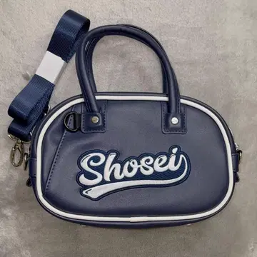 오히라 쇼세이 미니 보스턴