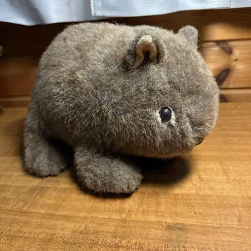 웜뱃 봉제 인형