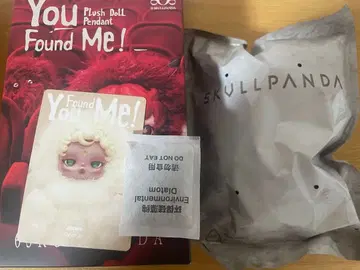 SKULLPANDA You Found Me! sandman