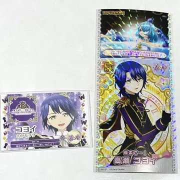 코요이 토모치케 사진 티켓 금투어