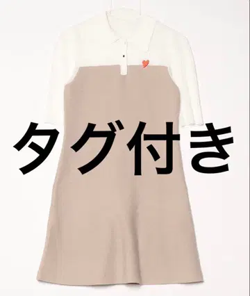 dazzlin 더블린 시어 폴로 니트 원피스 니트 원피스