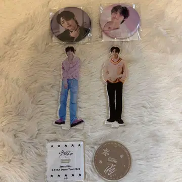 아이엔 아크릴 스탠드 캔뱃지 straykids 스키즈