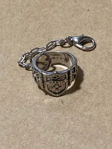 가정교사 히트맨 REBORN! 봉고레 반지 바리아 반지 잔자스