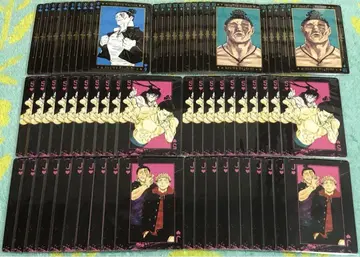 [ 주술회전 ] 카드놀이 토도 아오이 65장 세트