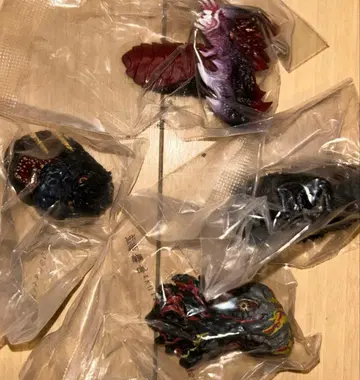 제일복권 고질라 괴수난무 -난폭한 존재- E상 전4종