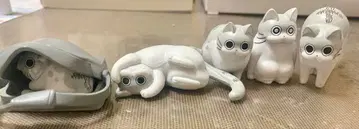 밤은 고양이와 함께 큐루가 가챠가챠 5체 세트