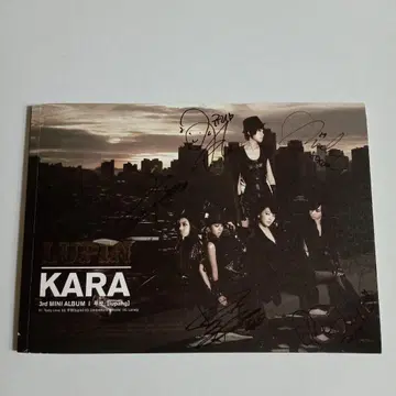친필 사인 CD 쿠 하라 한국 정품 K-POP KARA Lupang
