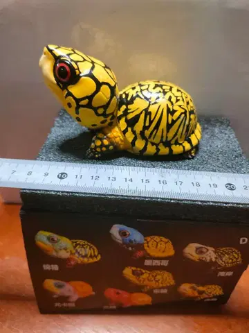 캐롤라이나 상자거북 피규어 옐로우 컬러와 블랙