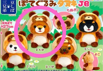 콩 시바 삼형제 포테구루미 너구리 JB 사이즈 봉제 인형 마메사부로