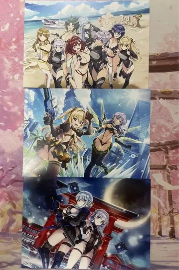 돌핀 웨이브 엽서