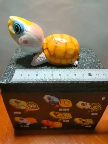유카탄상자거북 피규어 약 10cm