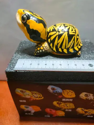 플로리다상자거북 피규어