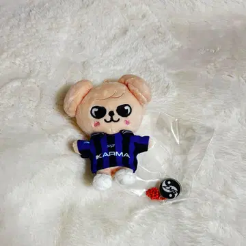 StrayKids KARMA skzoover. 퍼핌