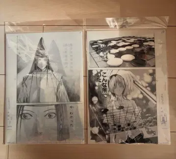 [ 미개봉 ] 히카루의 바둑 원화전 클리어 파일 B C 2장 세트